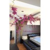 درخت رونده گل کاغذی برای اتاق خواب